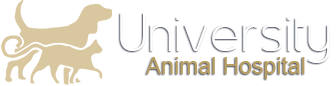 University Animal Hospital in Statesboro